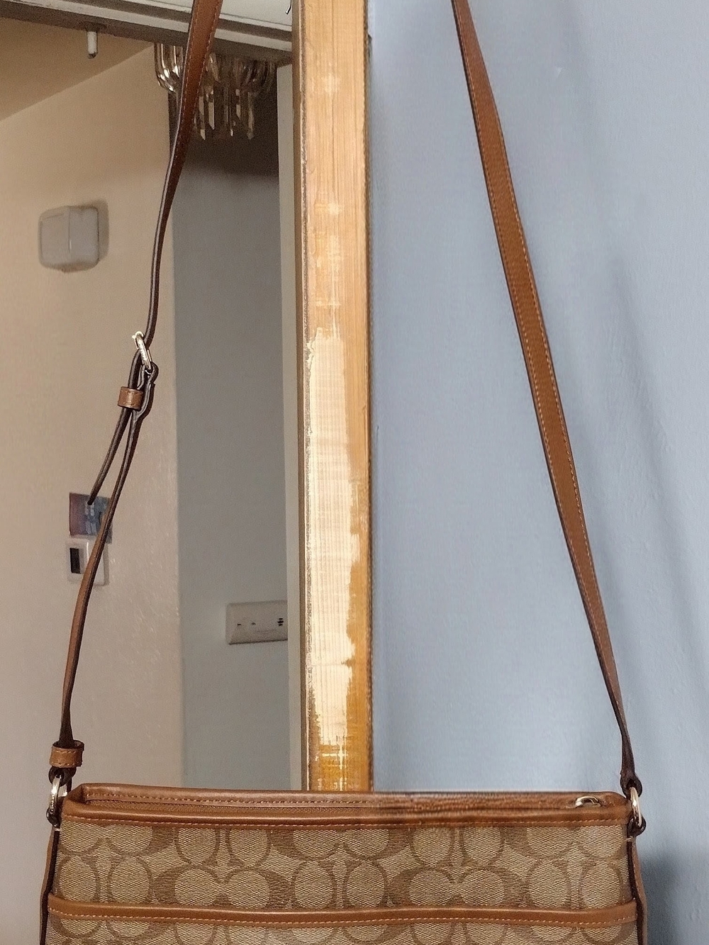 Coach Signature Canvas Crossbody Bag in Tan
